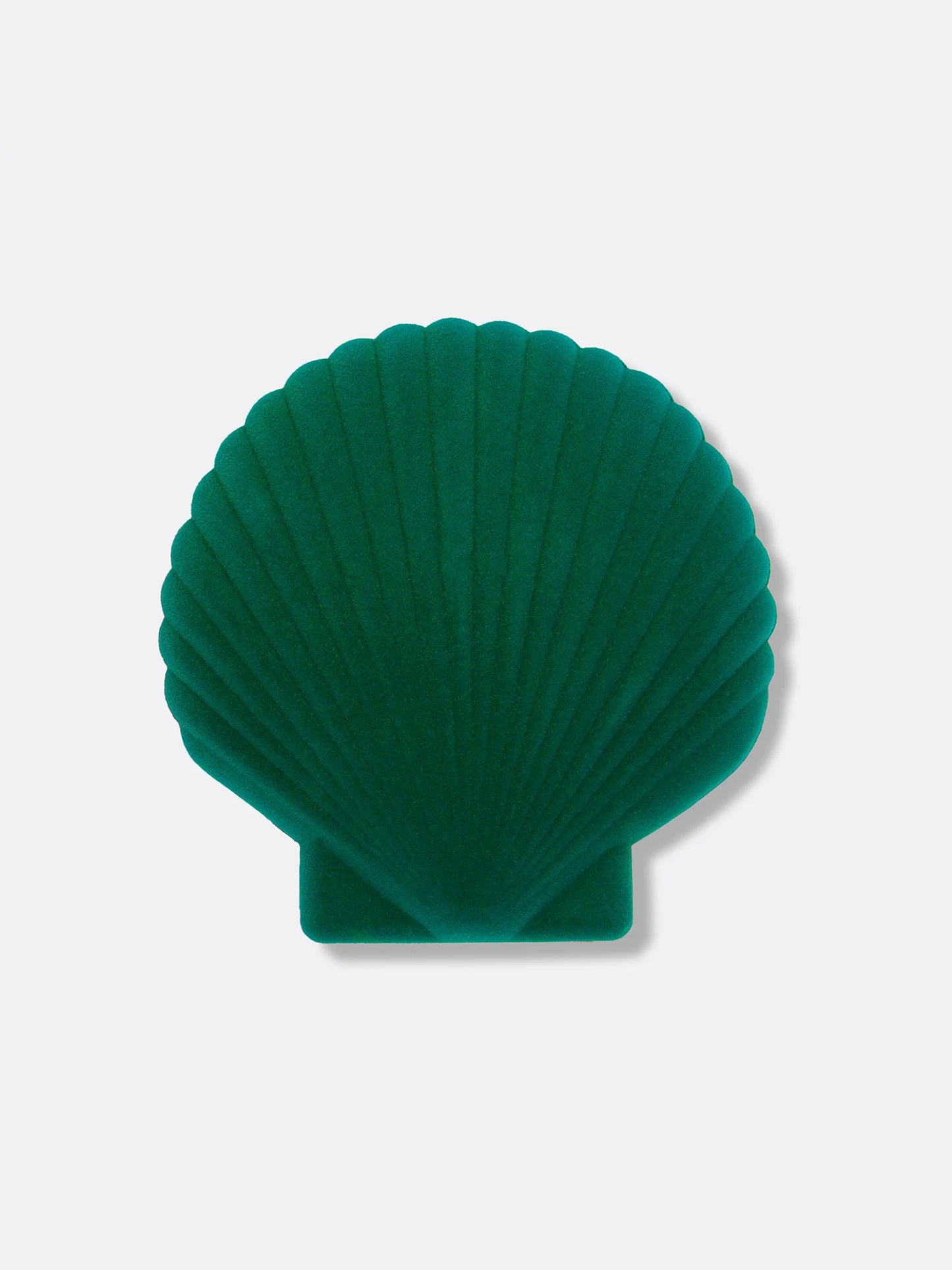 JEWELRY BOX // Shell