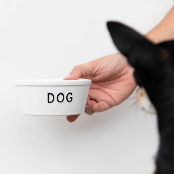 TIGELA PARA CÃES