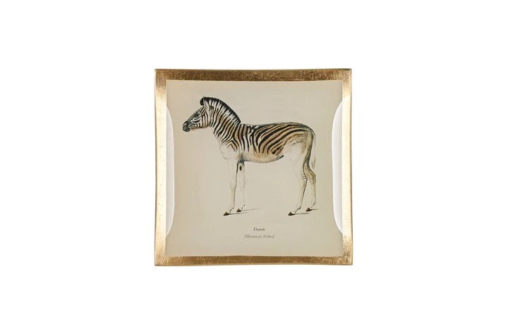 TRAY // Zebra