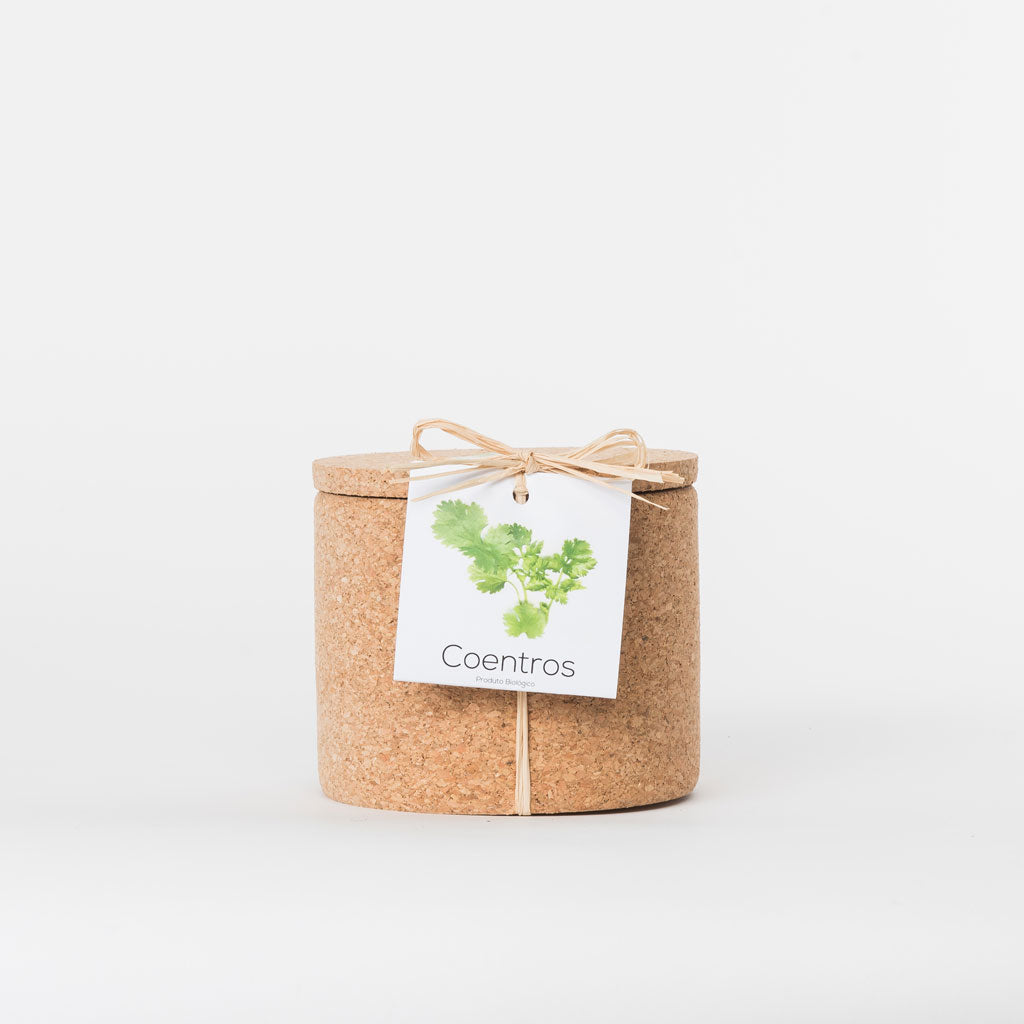 GROW BOX // Leafy Greens