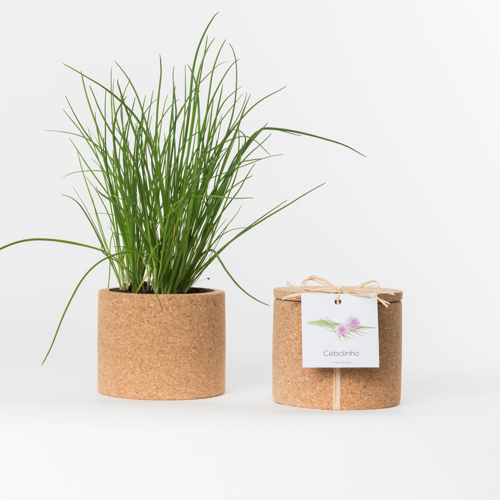 GROW BOX // Leafy Greens