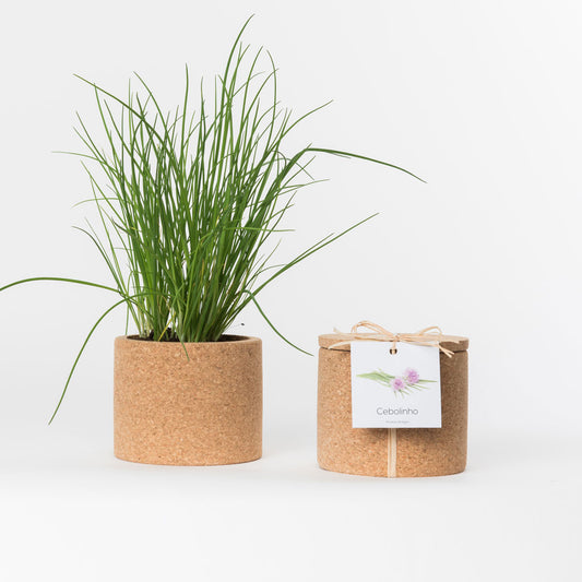 GROW BOX // Leafy Greens