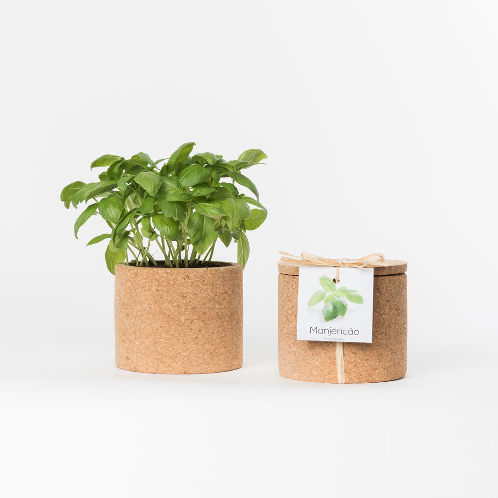 GROW BOX // Leafy Greens