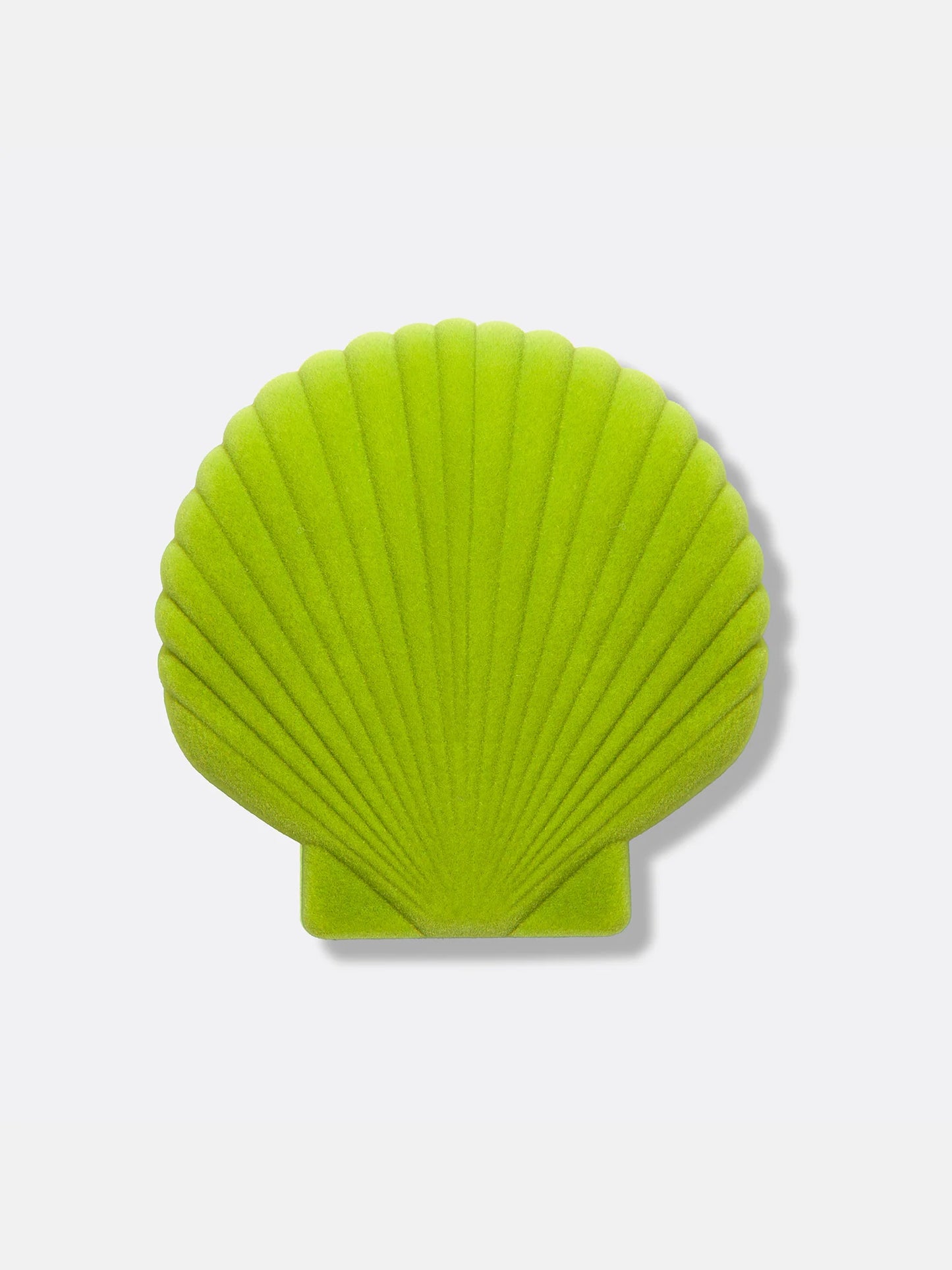 JEWELRY BOX // Shell
