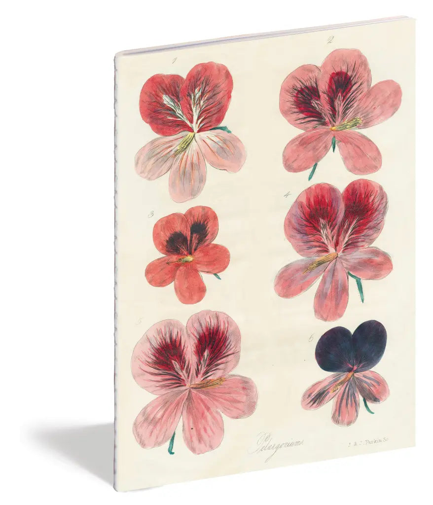 JOHN DERIAN // Cadernos no Jardim
