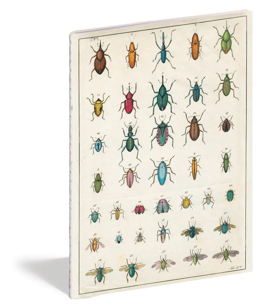 JOHN DERIAN // Cadernos no Jardim