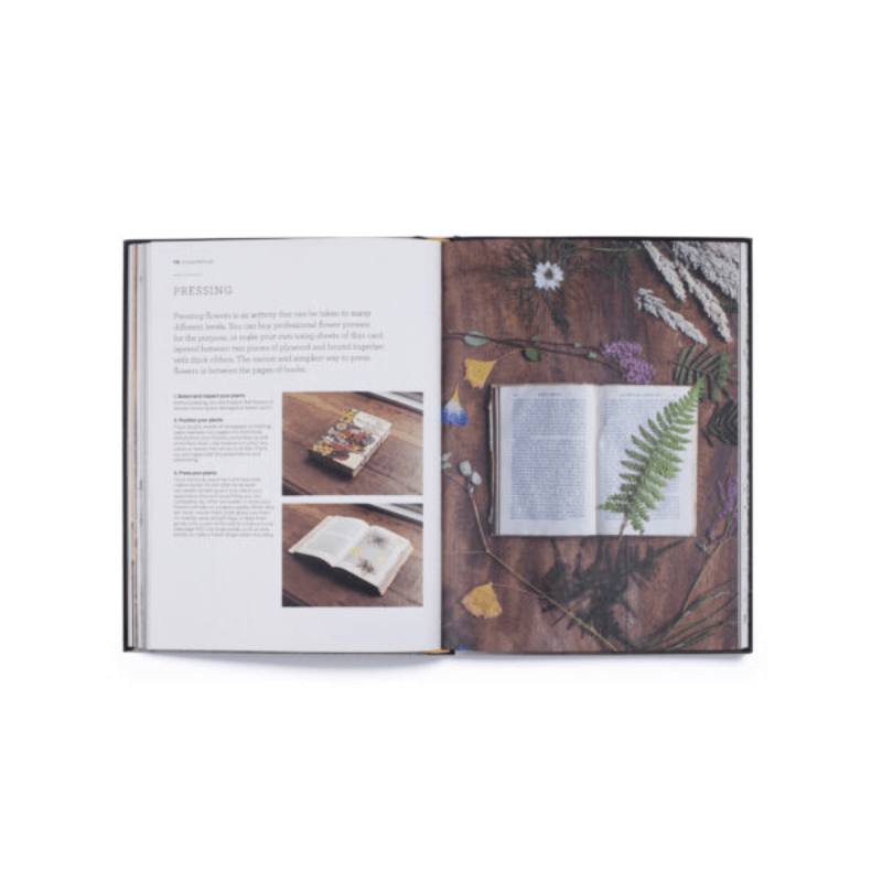 Cut & Dry // The Modern Guide To Dried Flowers From Growing To Styling - Loja Real