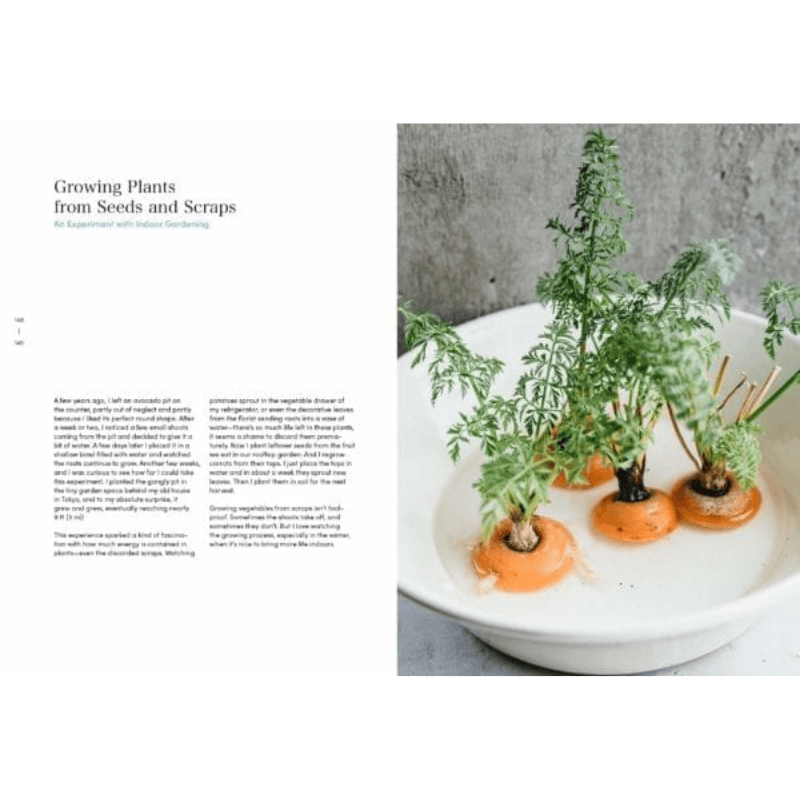 Simplicity At Home // Japanese Rituals, Recipes and Arrangements For Thoughtful Living - Loja Real