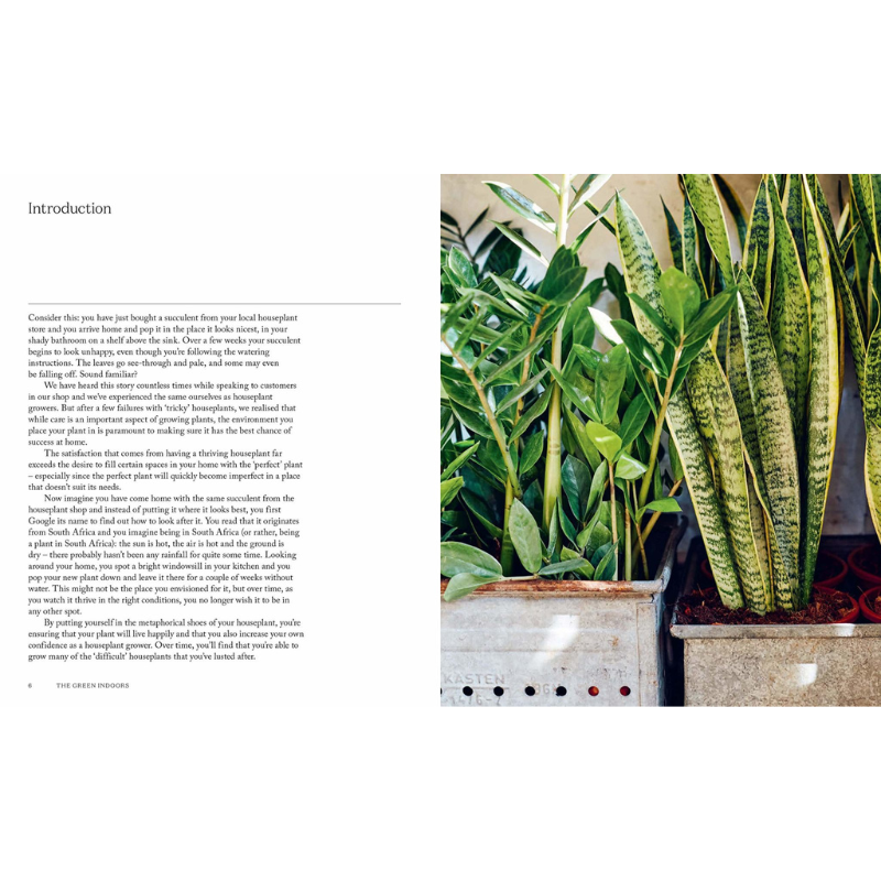 The Green Indoors // Encontrando as plantas certas para o seu ambiente doméstico