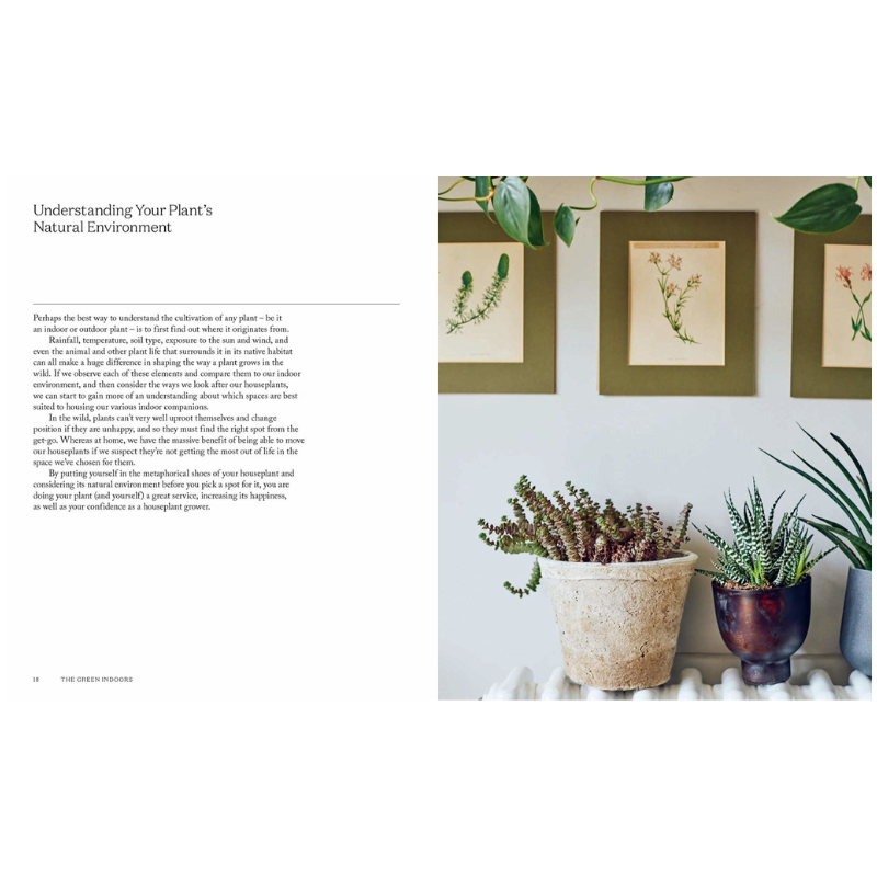 The Green Indoors // Encontrando as plantas certas para o seu ambiente doméstico