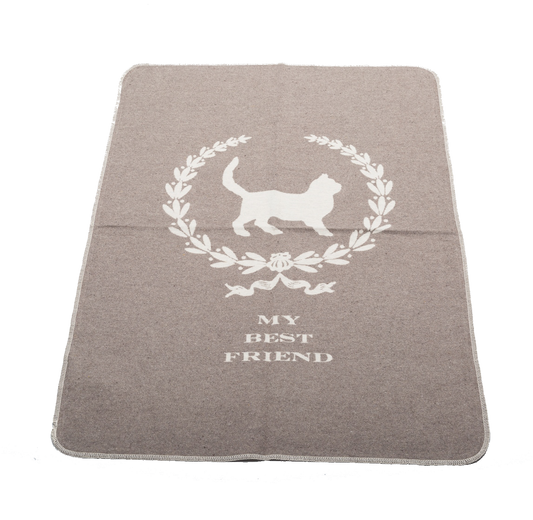 CATS BLANKET // My Best Friend