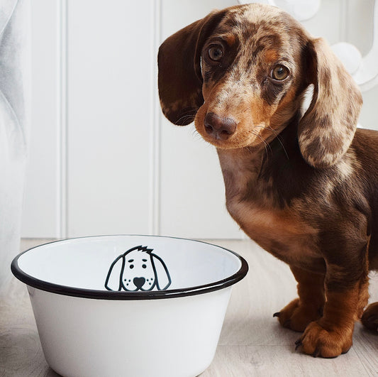 ENAMEL BOWL // Dog