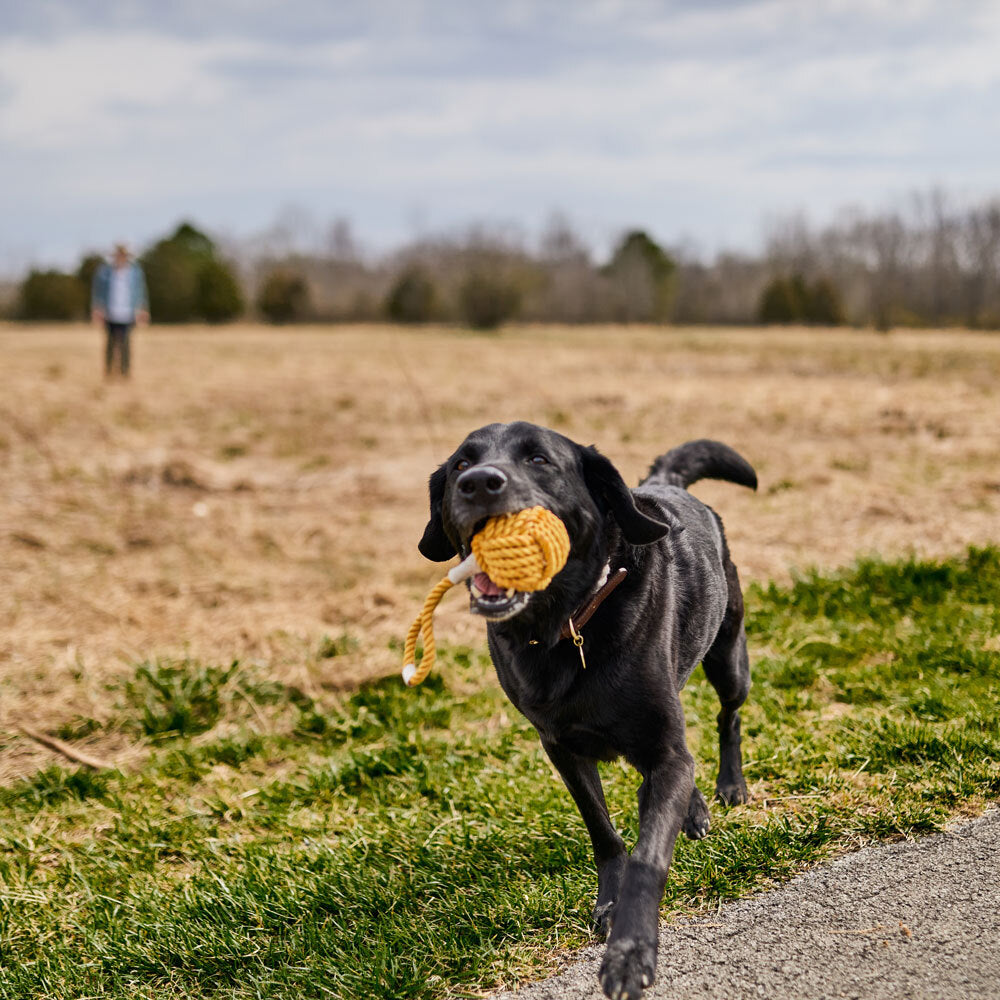 DOG TOY // Rope Ball