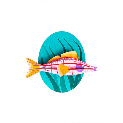 3D PUZZLE // Longnose Hawkfish