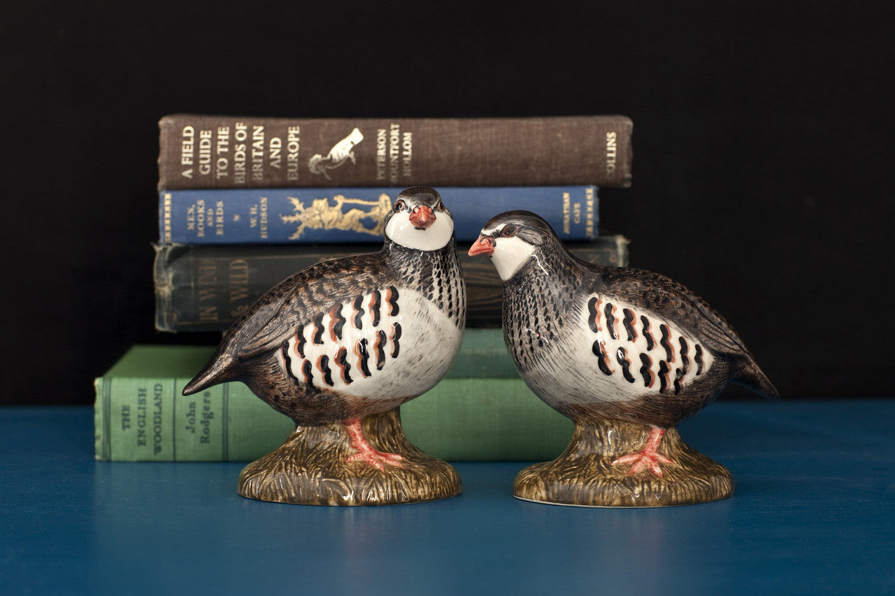 SALT AND PEPPER SHAKER // Partridge