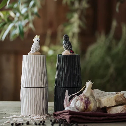 SALT AND PEPPER // Wooden Bird