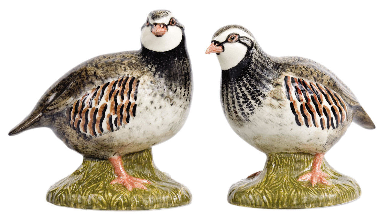 SALT AND PEPPER SHAKER // Partridge