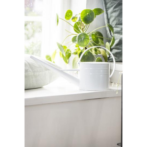 Watering Can White