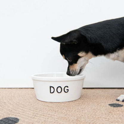 Tigela de cerâmica para cachorro