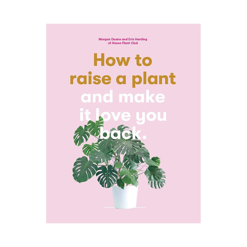How To Raise a Plant And Make It Love You Back