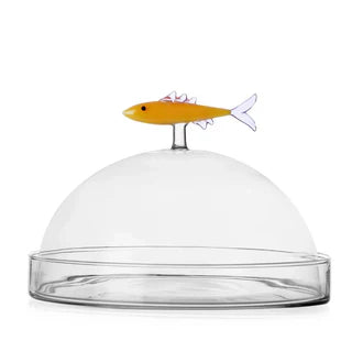 DOME WITH DISH SARDINE