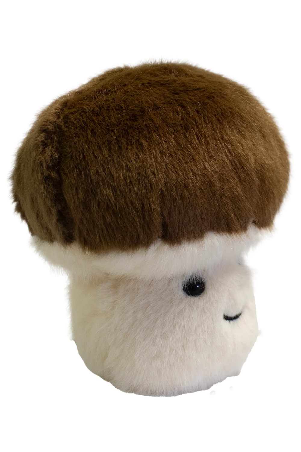 GARDEN FRIENDS // Mushroom