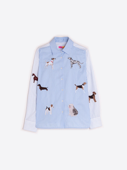 BLUE SHIRT // Dogs
