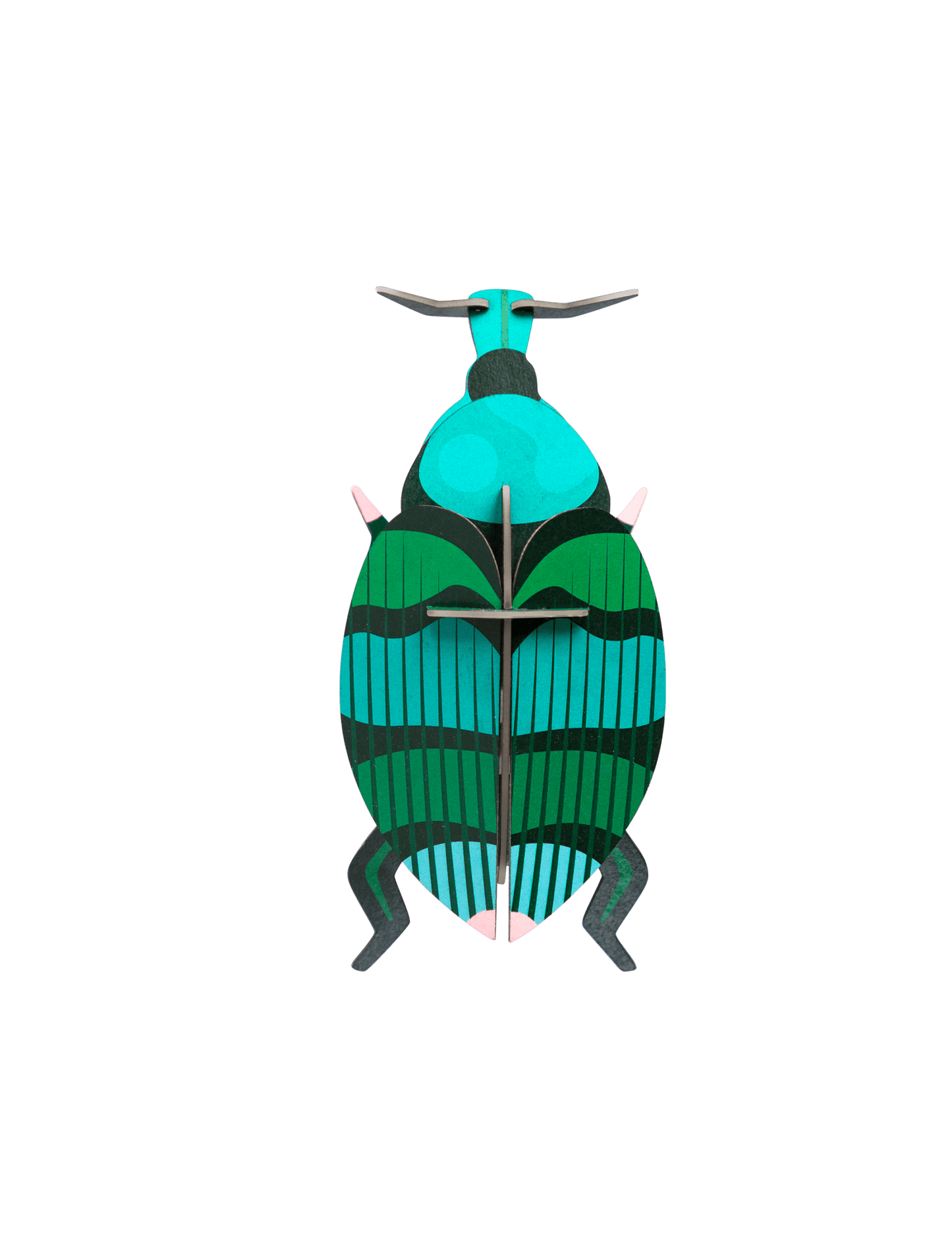 3D WALL ART // Weevil Beetle