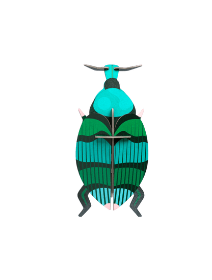 3D WALL ART // Weevil Beetle