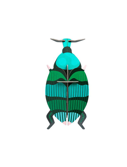 3D WALL ART // Weevil Beetle