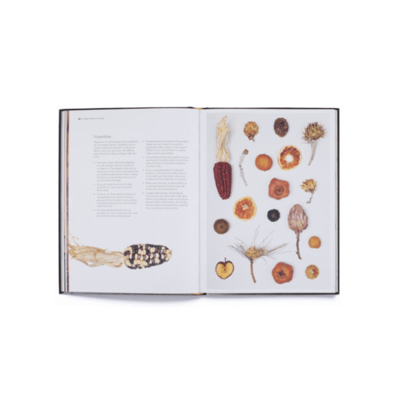 Cut & Dry // The Modern Guide To Dried Flowers From Growing To Styling - Loja Real