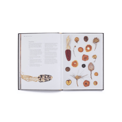 Cut & Dry // The Modern Guide To Dried Flowers From Growing To Styling - Loja Real