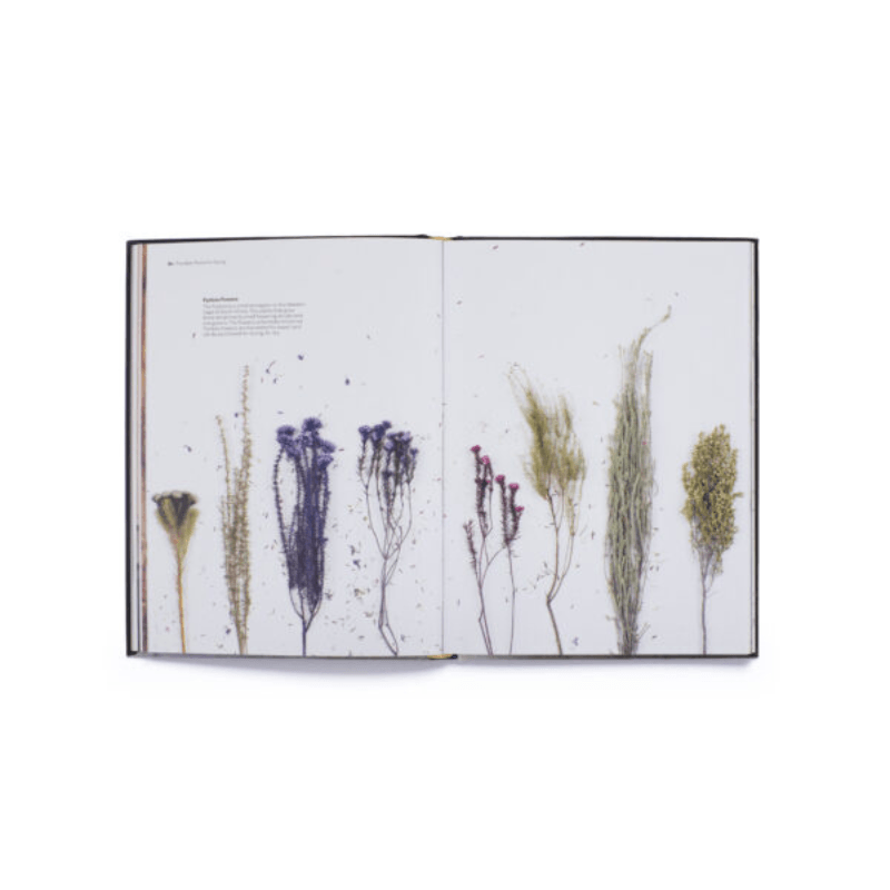 Cut & Dry // The Modern Guide To Dried Flowers From Growing To Styling - Loja Real