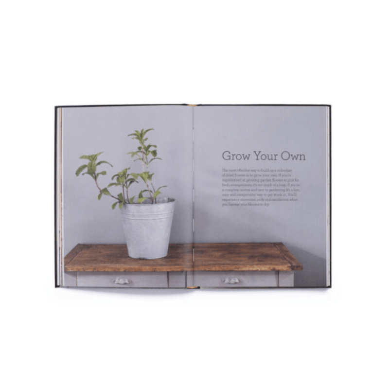 Cut & Dry // The Modern Guide To Dried Flowers From Growing To Styling - Loja Real