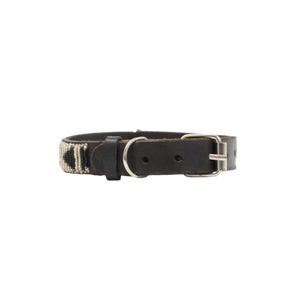 ASPIGA // Dog Collar