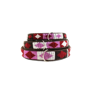 ASPIGA // Dog Collar