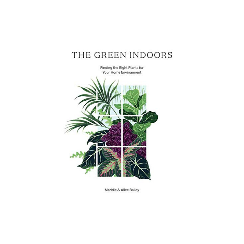 The Green Indoors // Finding The Right Plants For Your Home Environment