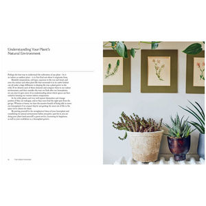 The Green Indoors // Finding The Right Plants For Your Home Environment