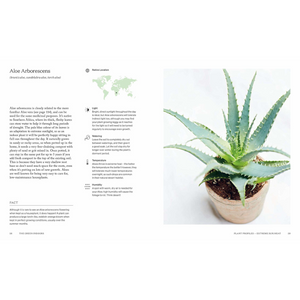 The Green Indoors // Finding The Right Plants For Your Home Environment