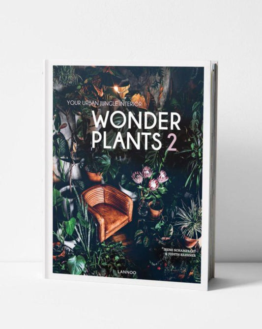 WONDER PLANTS 2 // Your Urban Jungle Interior